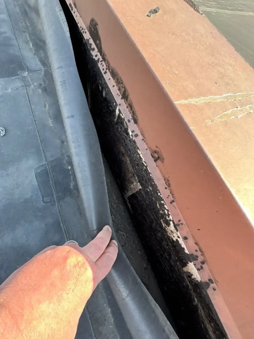 Tarping and dry-in on a Edinburgh commercial roof
